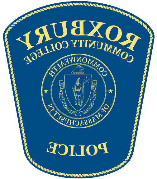 RCC公共安全徽章